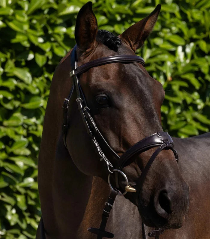 Artana Snaffle Bridle Brown - PEI