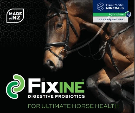 Fixine