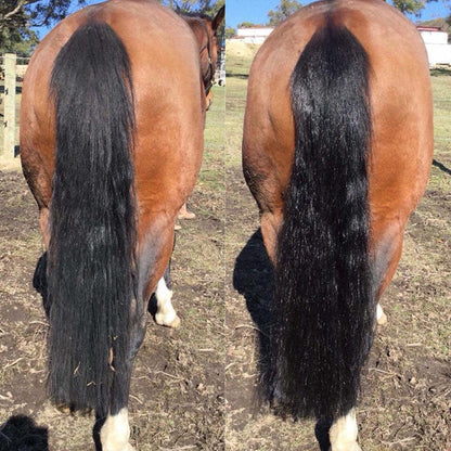 2 in 1 Detangle & Shine Spray - Original Hairy Pony