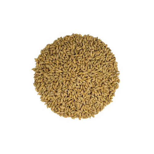 Barley - Whole 20Kg