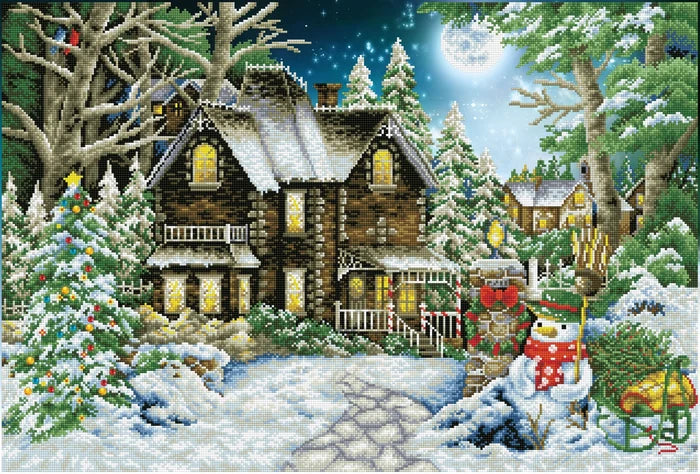 DD15.020 Winter Wonderland