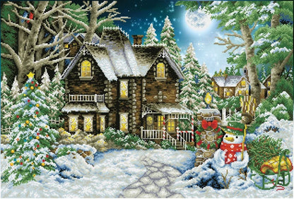 DD15.020 Winter Wonderland
