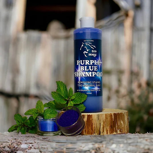 Eco horse Purple Blue Shampoo
