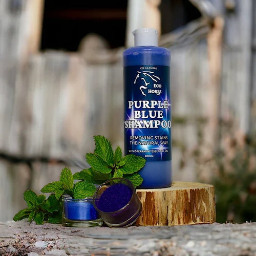 Eco horse Purple Blue Shampoo