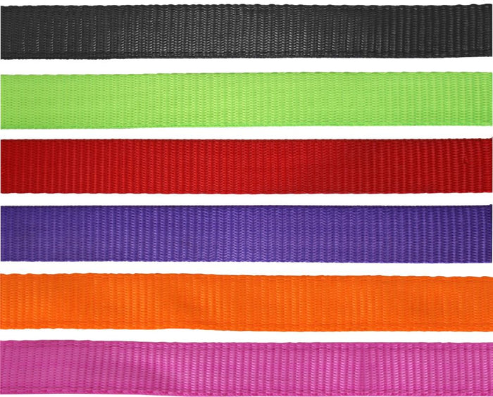 Flair Heavy Duty Nylon Web Halter