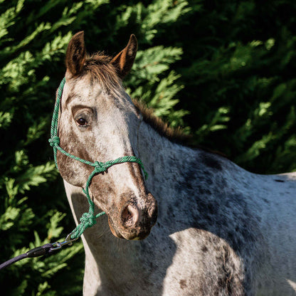 Flair Rope Multi Fleck Halters