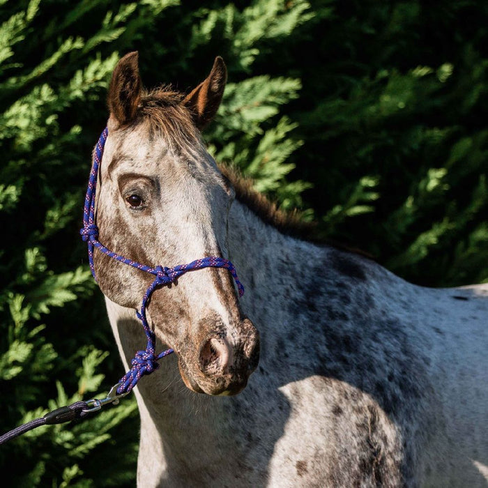 Flair Rope Multi Fleck Halters