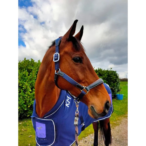KM Elite Leather Contrast Head Collar