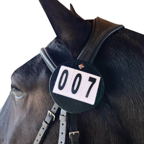 Luxe Dressage Bridle Number - Pair