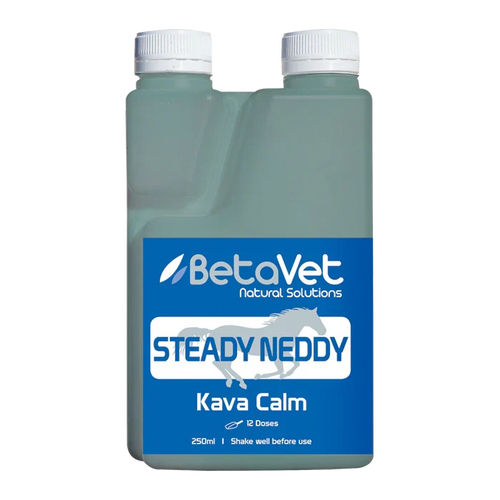 STEADY NEDDY