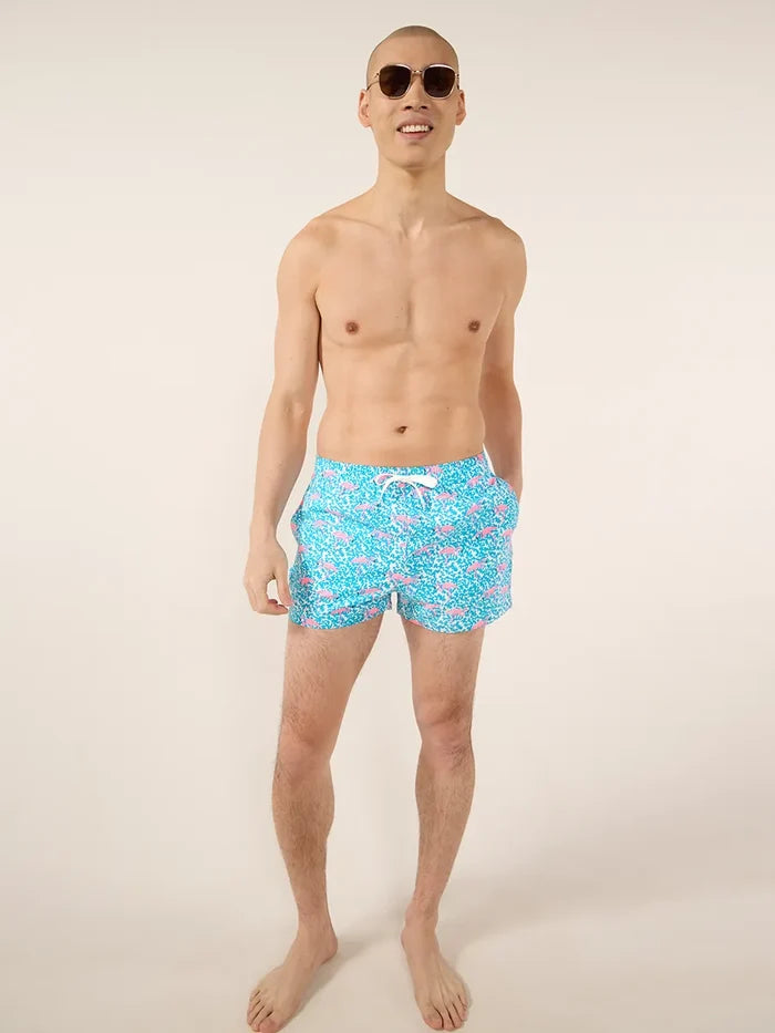 The Domingos Are Flamingos 4" (Classic Swim Trunk) - Image 3 - Chubbies Shorts