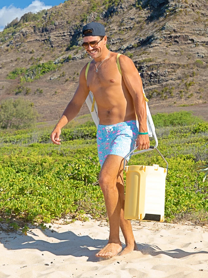 The Domingos Are For Flamingos 5.5" (Lined Classic Swim Trunk) - Image 5 - Chubbies Shorts