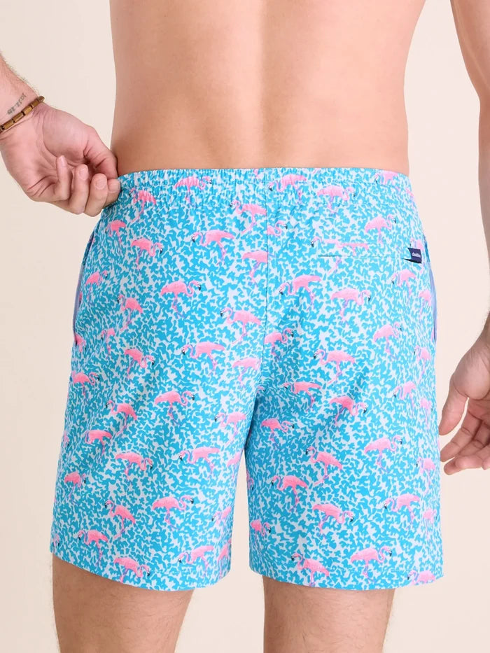 The Domingos Are For Flamingos 7" (Classic Swim Trunk) - Image 2 - Chubbies Shorts