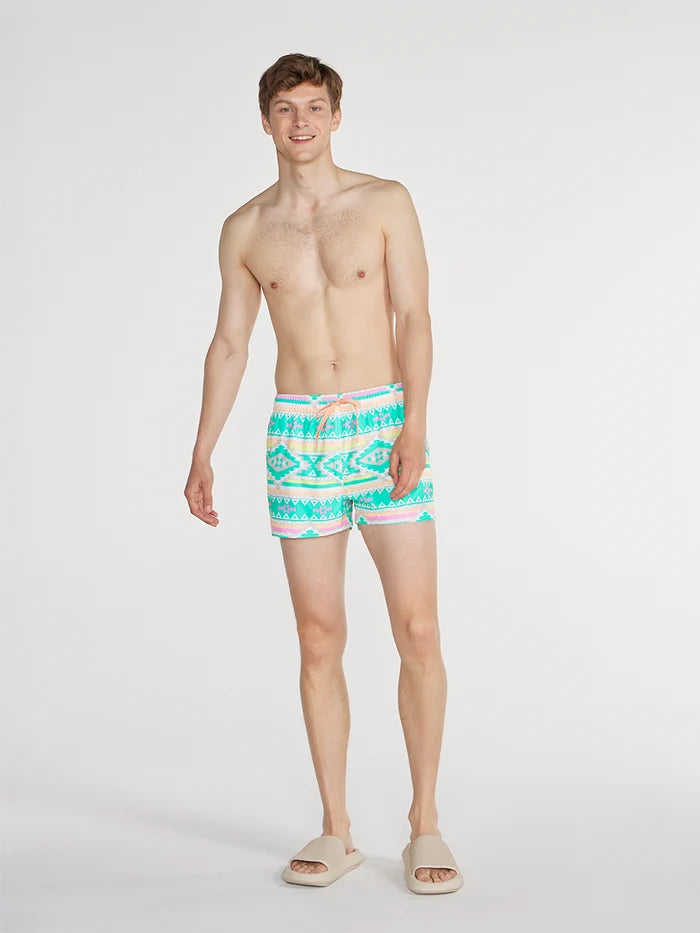 The En Fuegos 4" (Classic Swim Trunk) - Image 5 - Chubbies Shorts