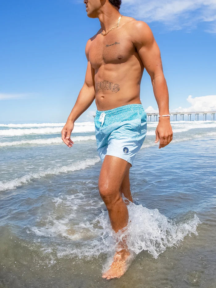 THE WHALE SHARKS 5.5" (CLASSIC SWIM TRUNK) - Image 4 - Chubbies Shorts