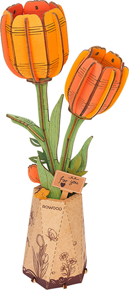 Orange Tulip